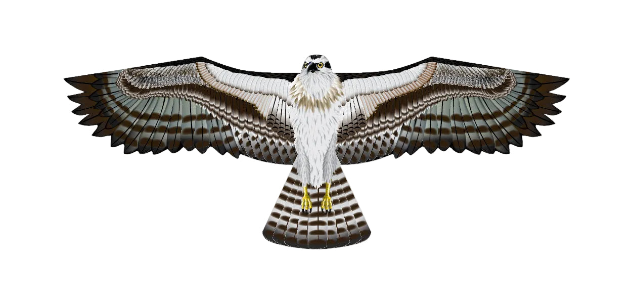 70 Inch Wingspan Supersize Ultra Osprey Ripstop Nylon Osprey Kite